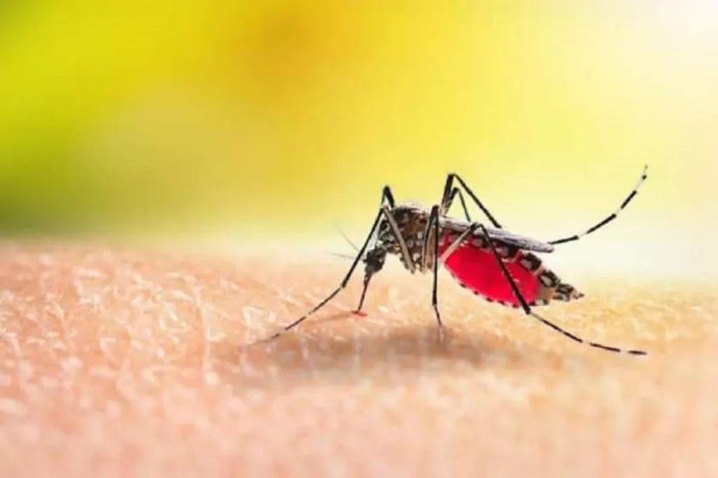 मलेरिया के कारण, लक्षण और बचाव