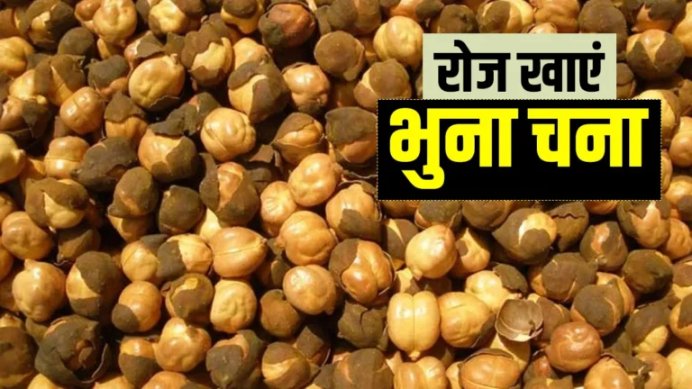 Benefits of eating roasted Gram in Hindi भुना चना खाने के फायदे